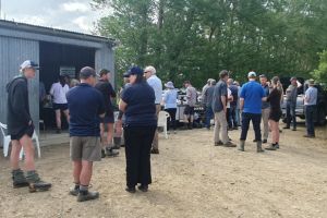 Untitled design (12)